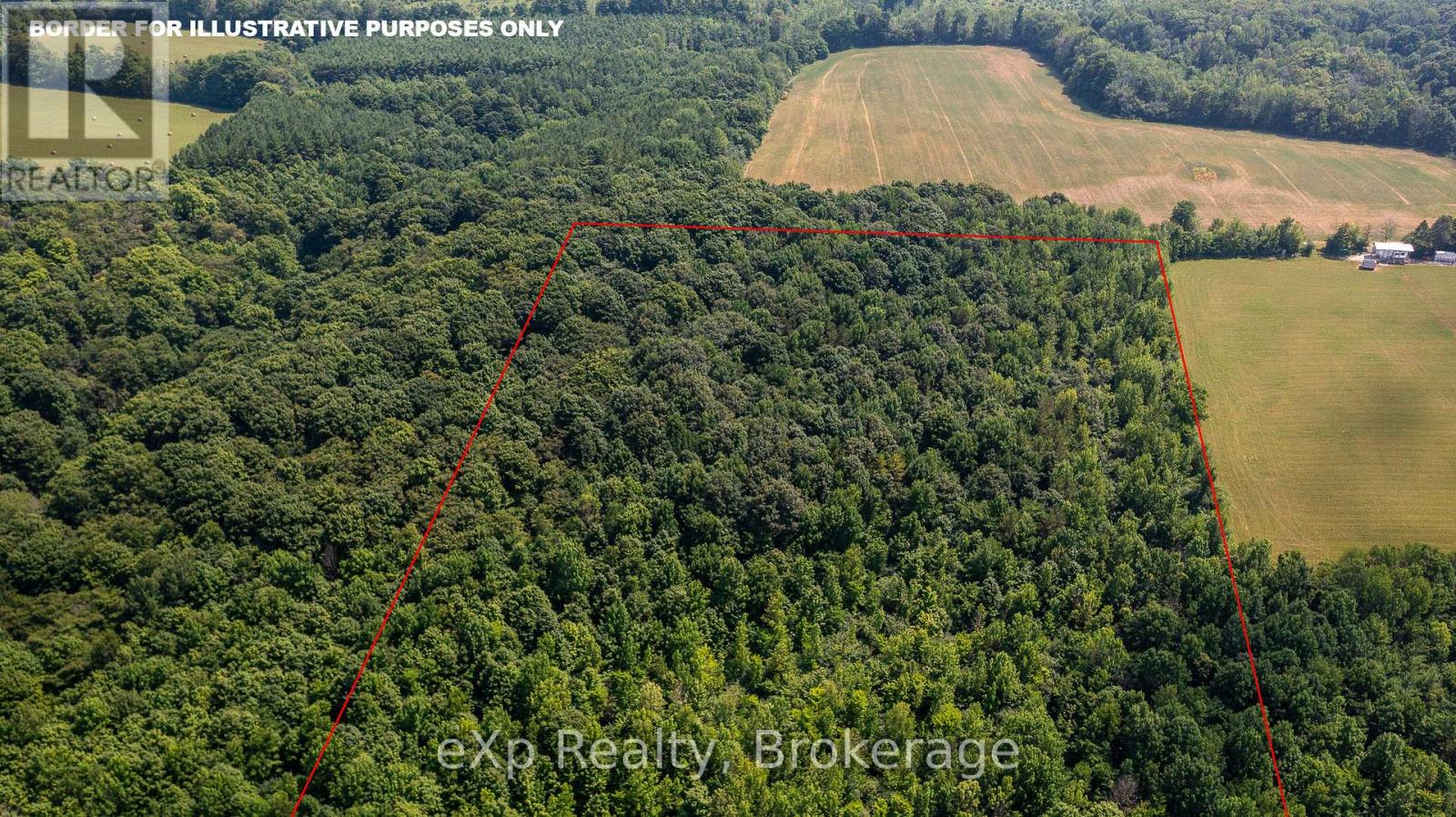 Con 11 Pt Lot 7, Sideroad 8 Property Photo 10