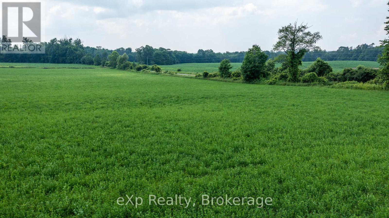 Con 11 Pt Lot 7, Sideroad 8 Property Photo 16