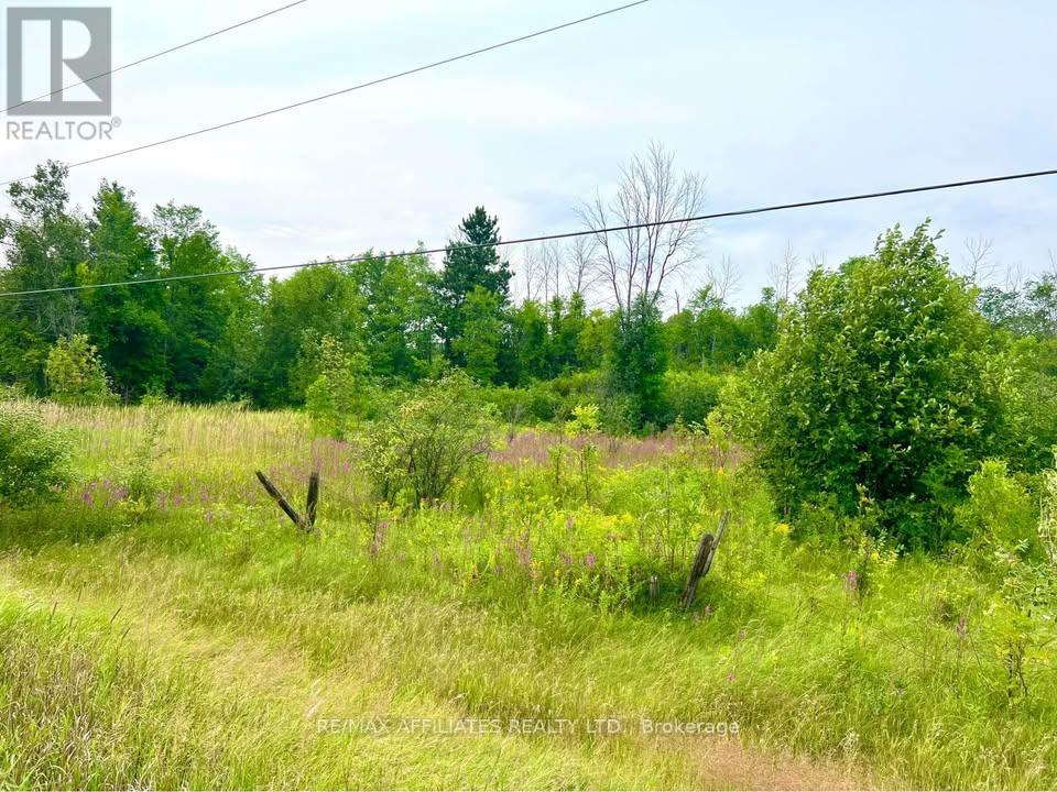 20010 Highway 7 Highway Property Photo 1