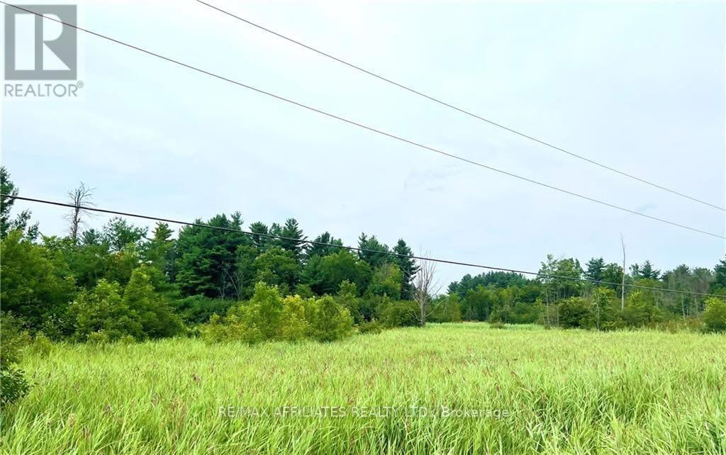 20010 Highway 7 Highway Property Photo 10