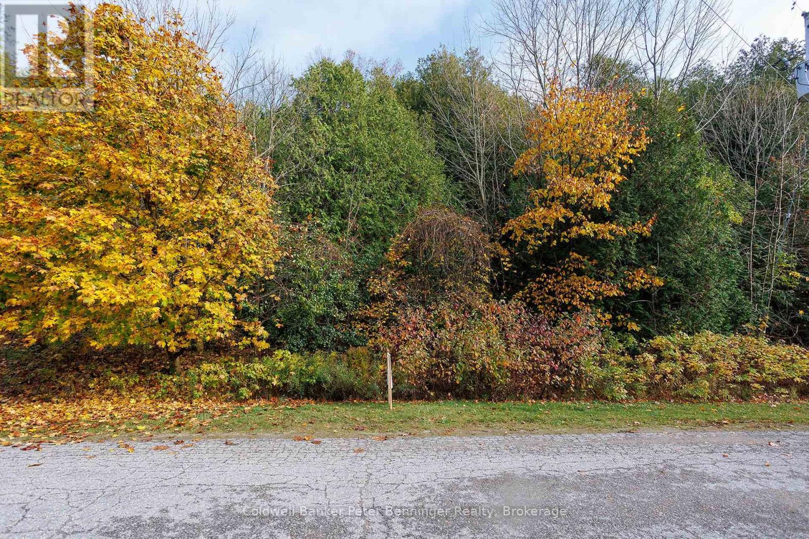 Lt 17 Pl 594 Courtney Court S Property Photo 1