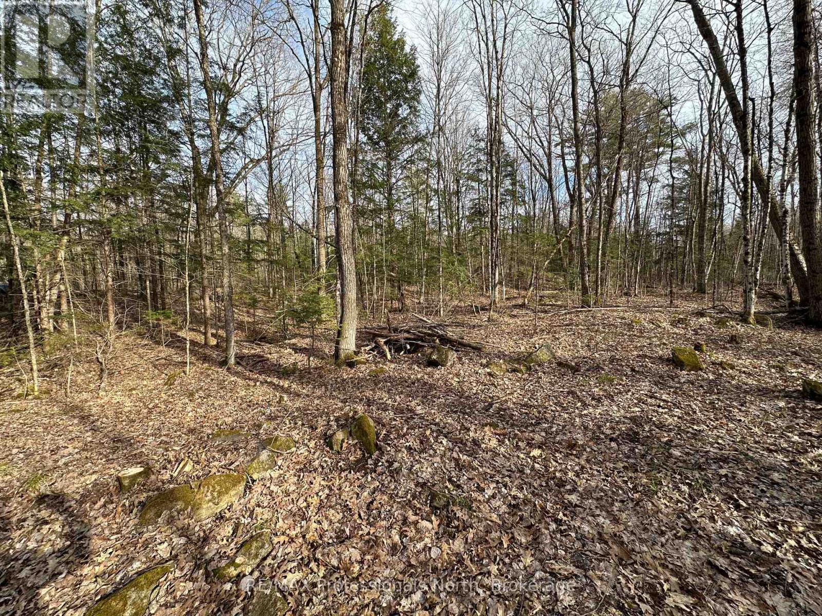 2731 Southwood Road Property Photo 7