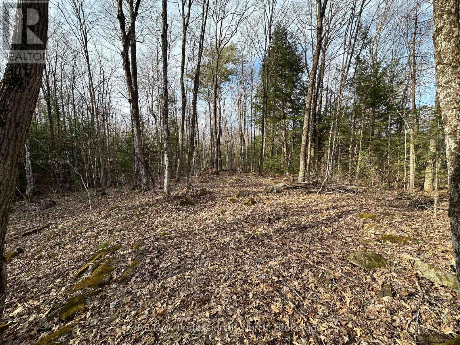 2731 Southwood Road Property Photo 9