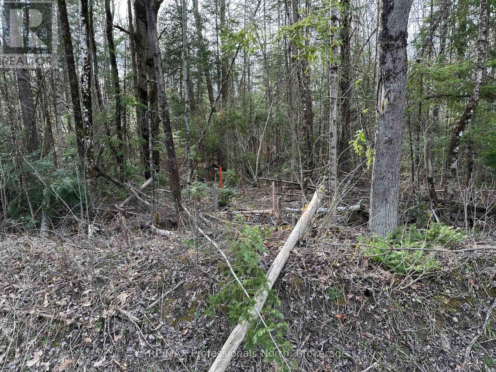 2731 Southwood Road Property Photo 10