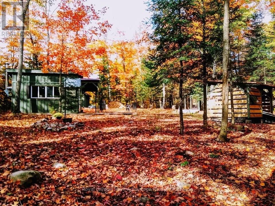 60wa Gooseneck Lake Property Photo 19