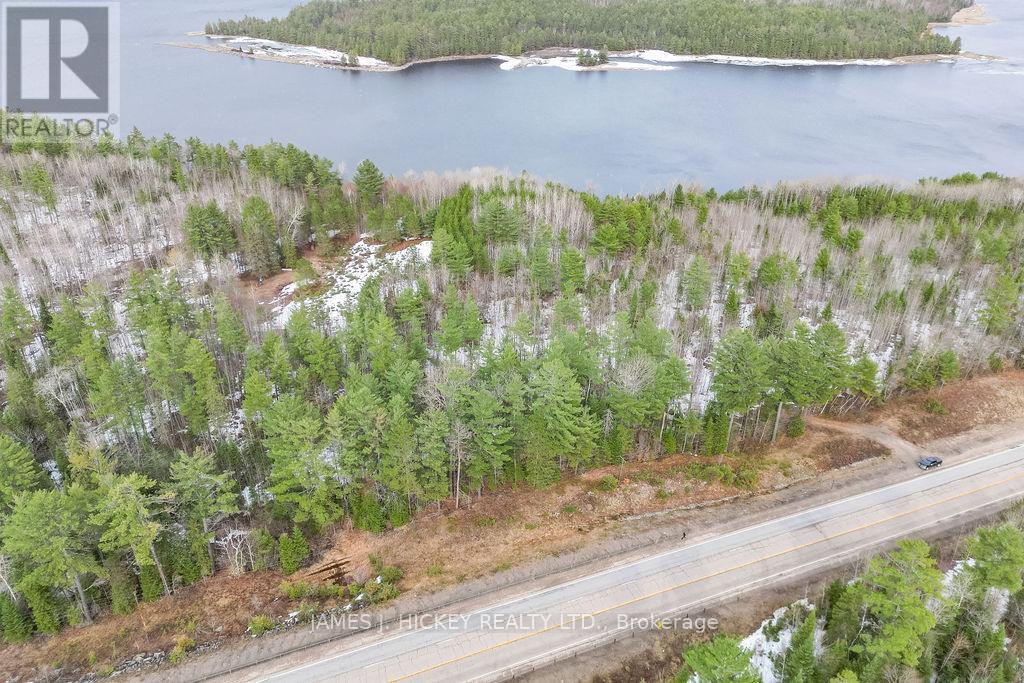 0 Hwy 17 Highway Property Photo 12
