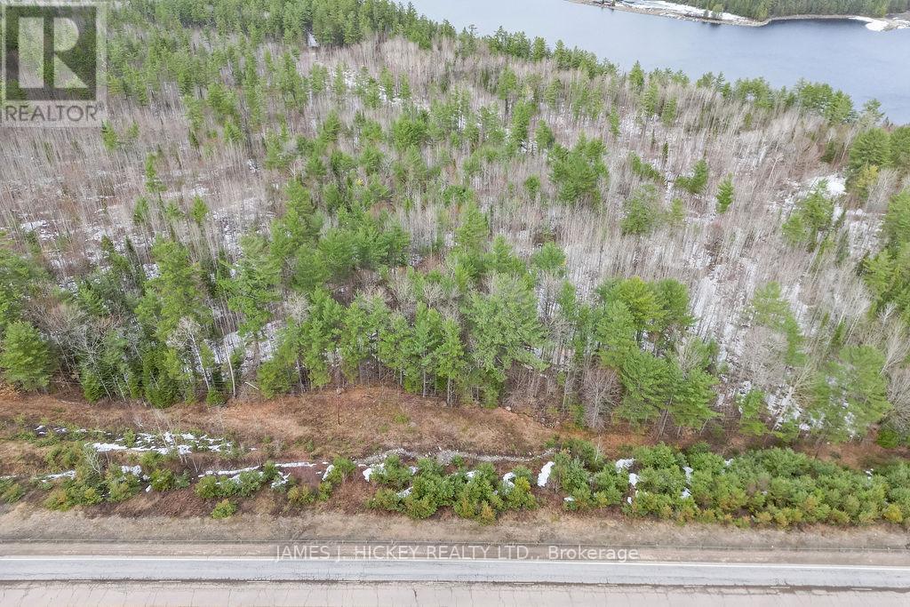 0 Hwy 17 Highway Property Photo 21