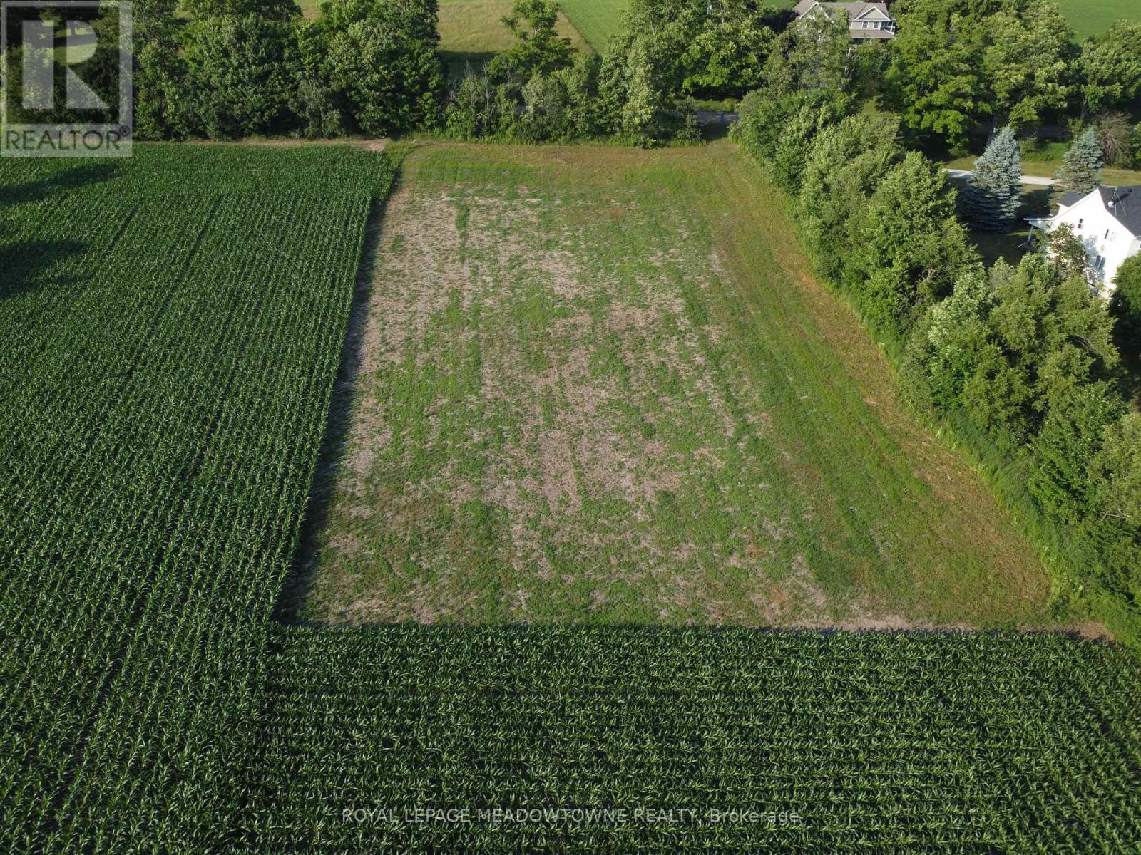5258 Third Line Property Photo 5