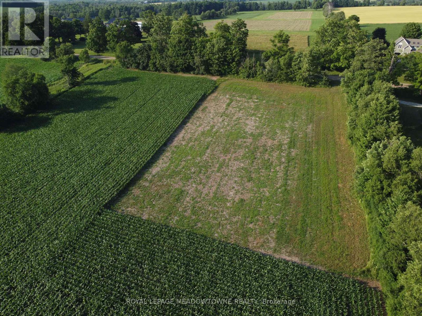 5258 Third Line Property Photo 6