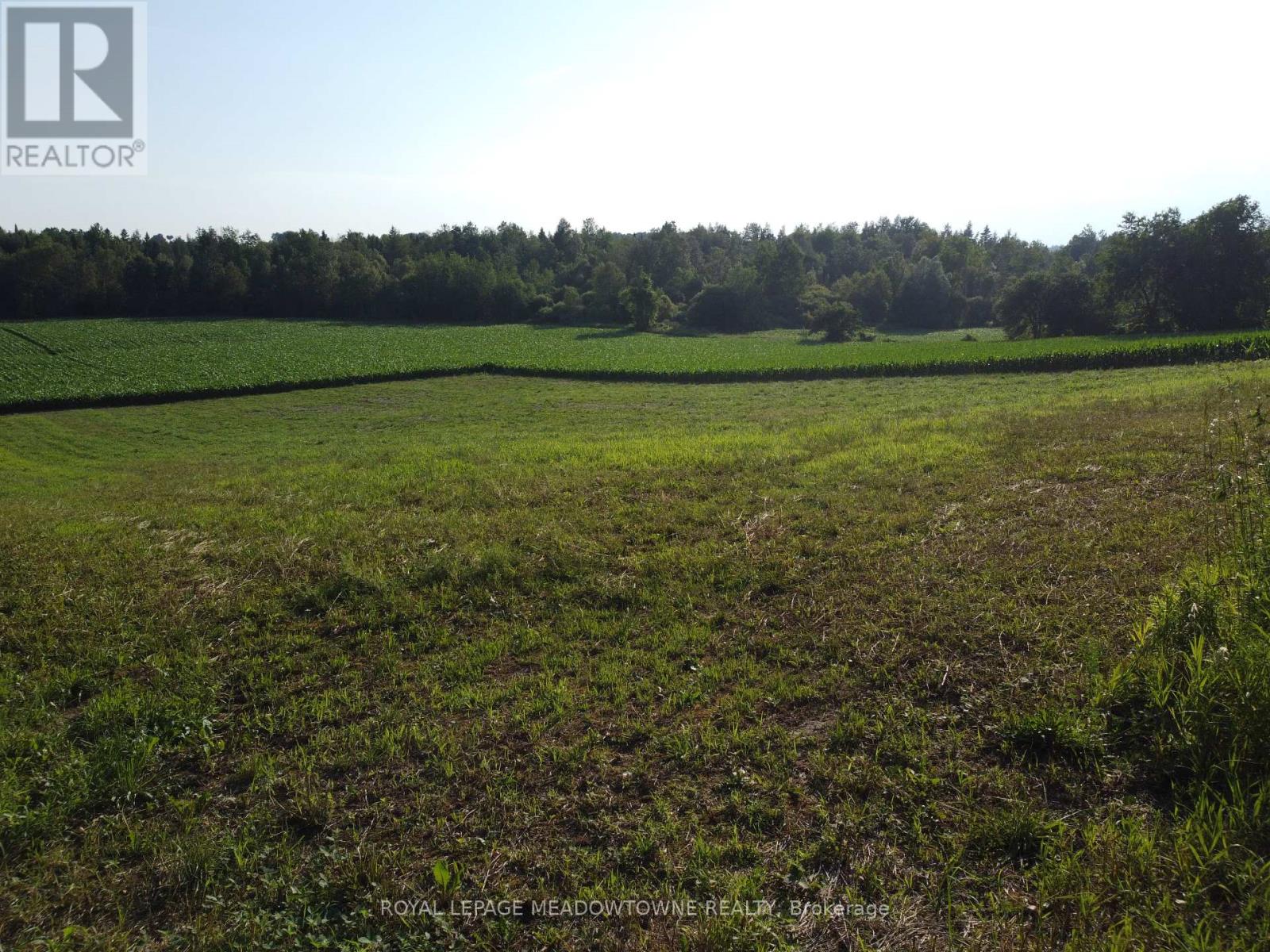 5258 Third Line Property Photo 14