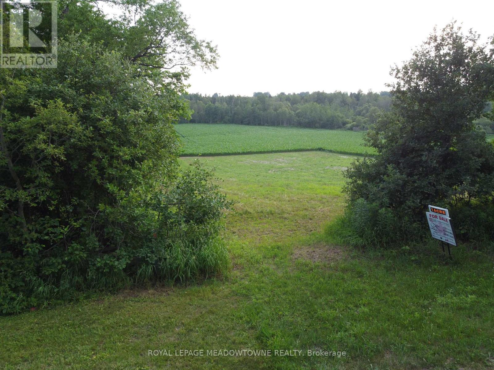 5258 Third Line Property Photo 15