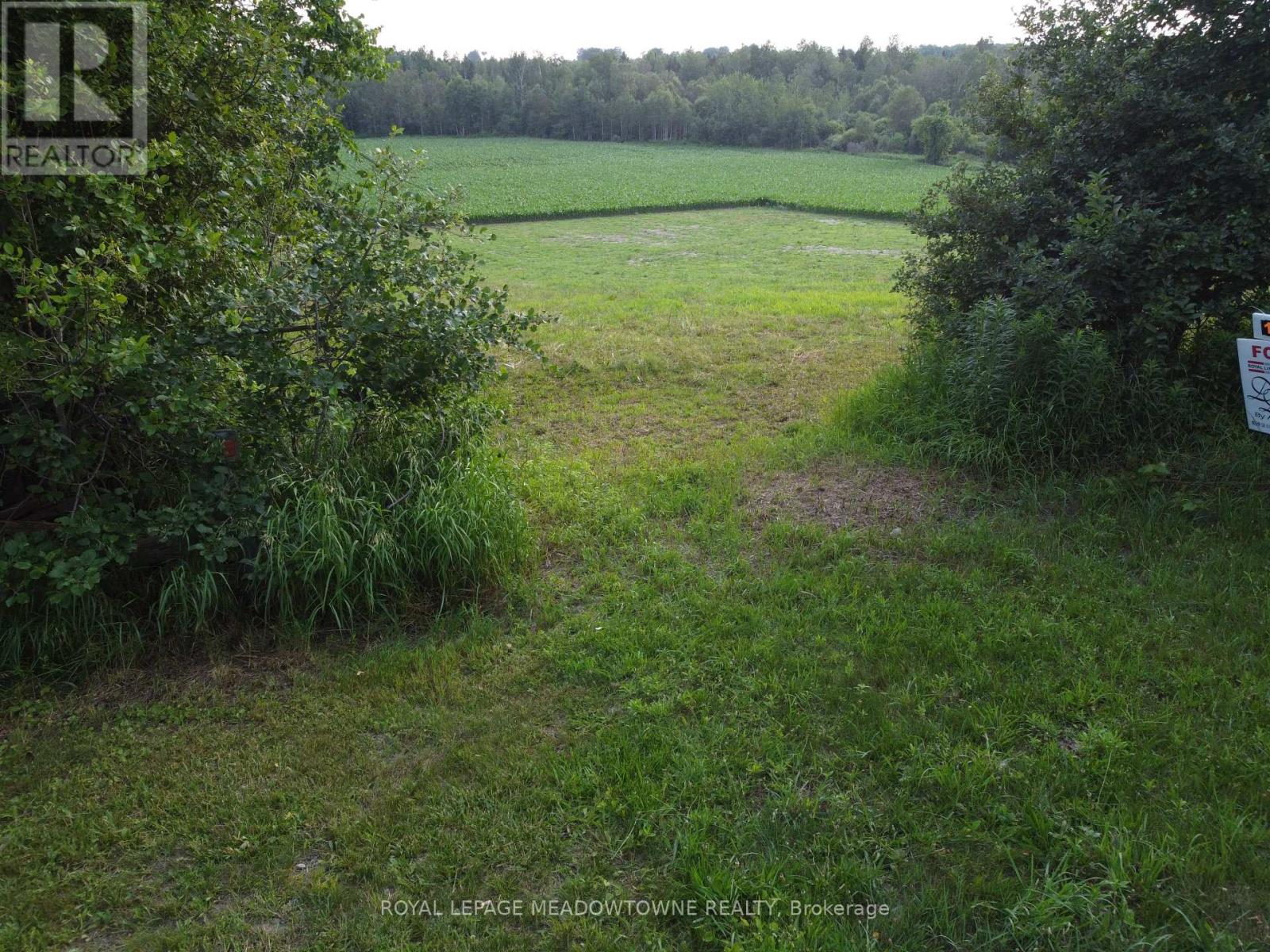 5258 Third Line Property Photo 20