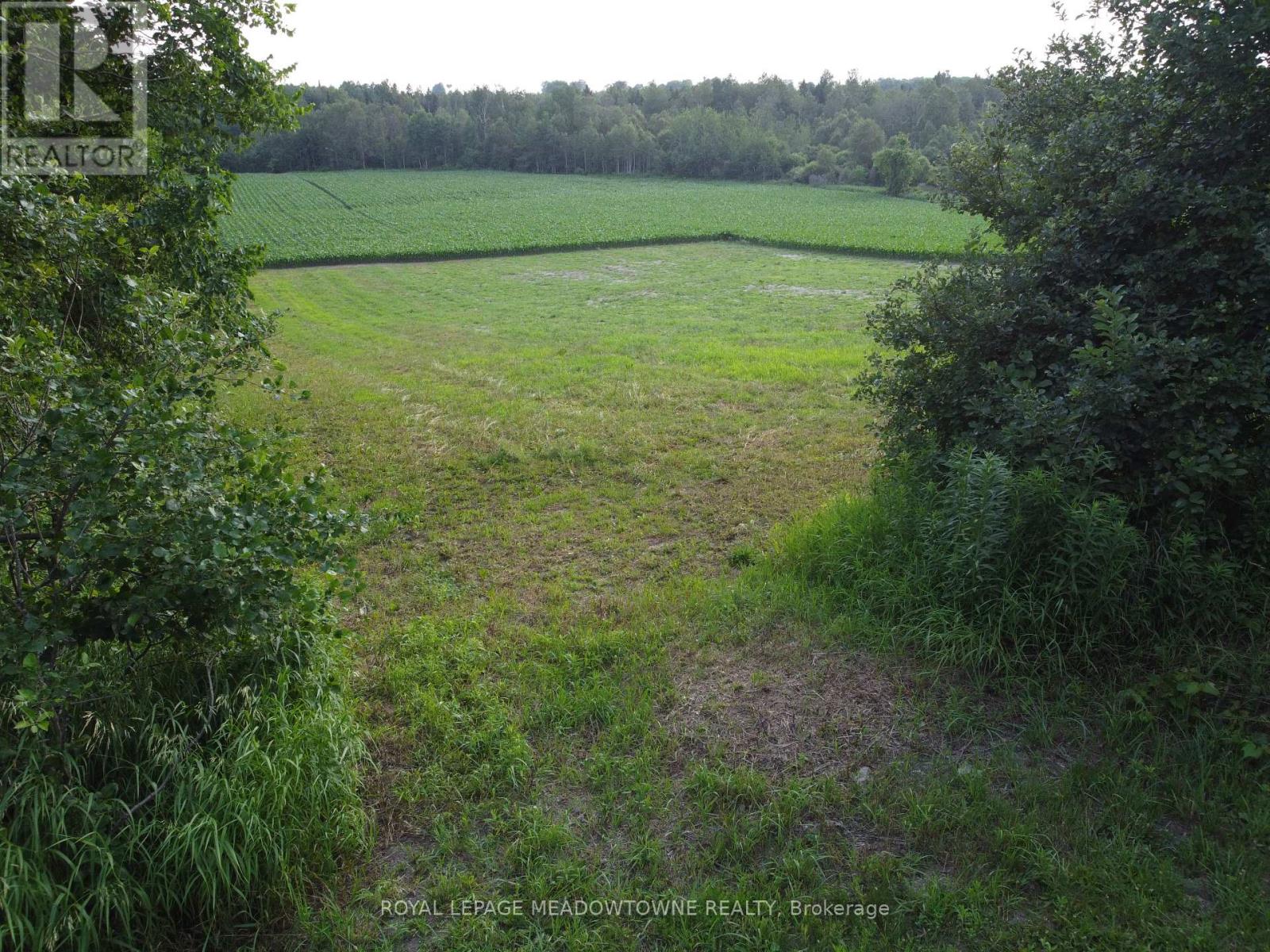 5258 Third Line Property Photo 23