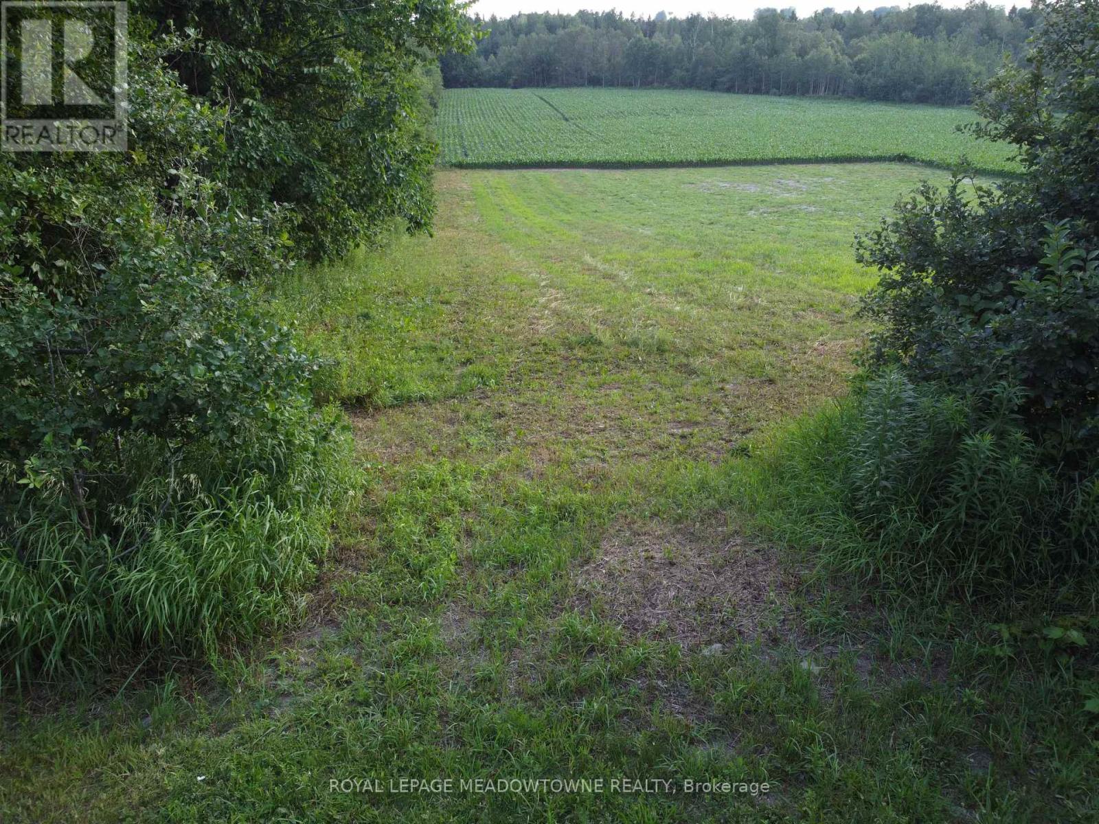 5258 Third Line Property Photo 24