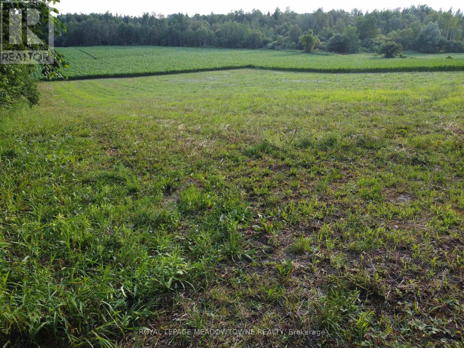 5258 Third Line Property Photo 27