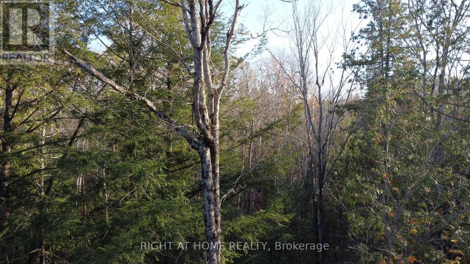 2087 Machar Strong Boundry Road Property Photo 5