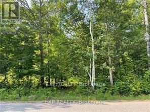 Lot C Parcher Road Property Photo 1