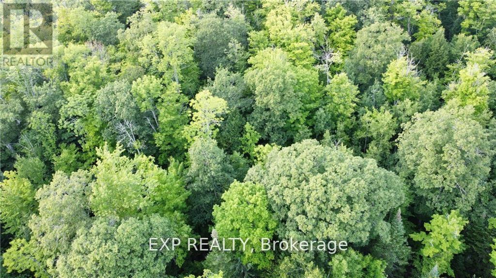Lot A Chippawa Road Property Photo 1