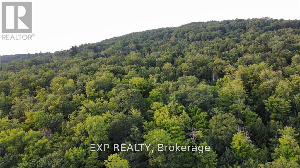 Lot A Chippawa Road Property Photo 2