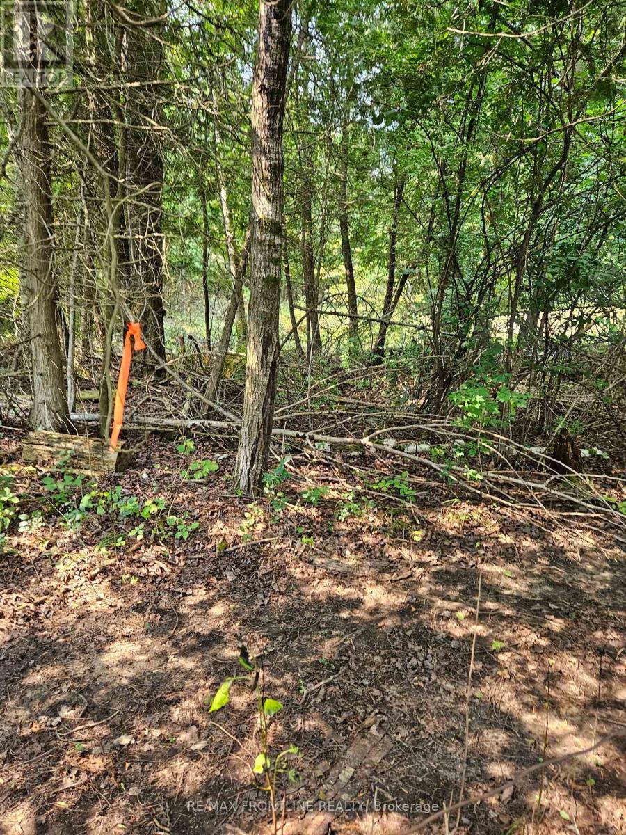 West Lot 0 Bathurst 7th Concession Property Photo 1