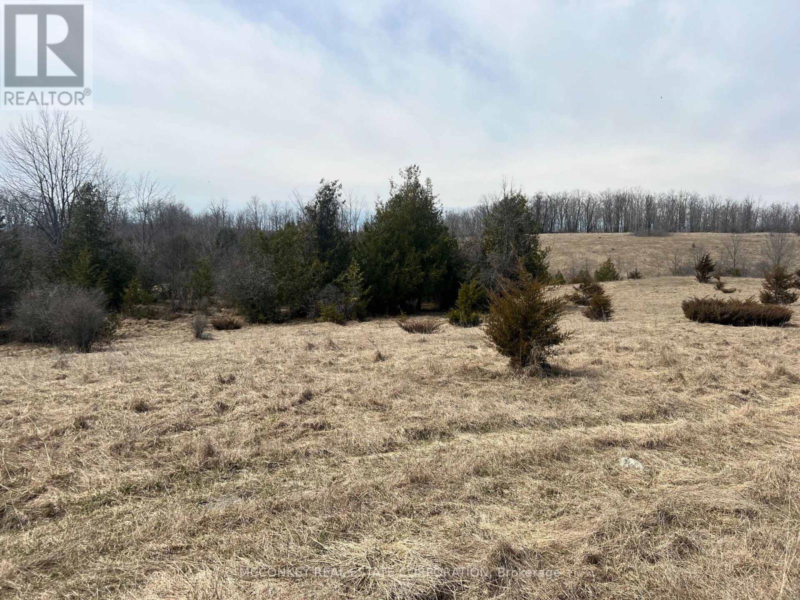 250 Concession Road 13 E Property Photo 5
