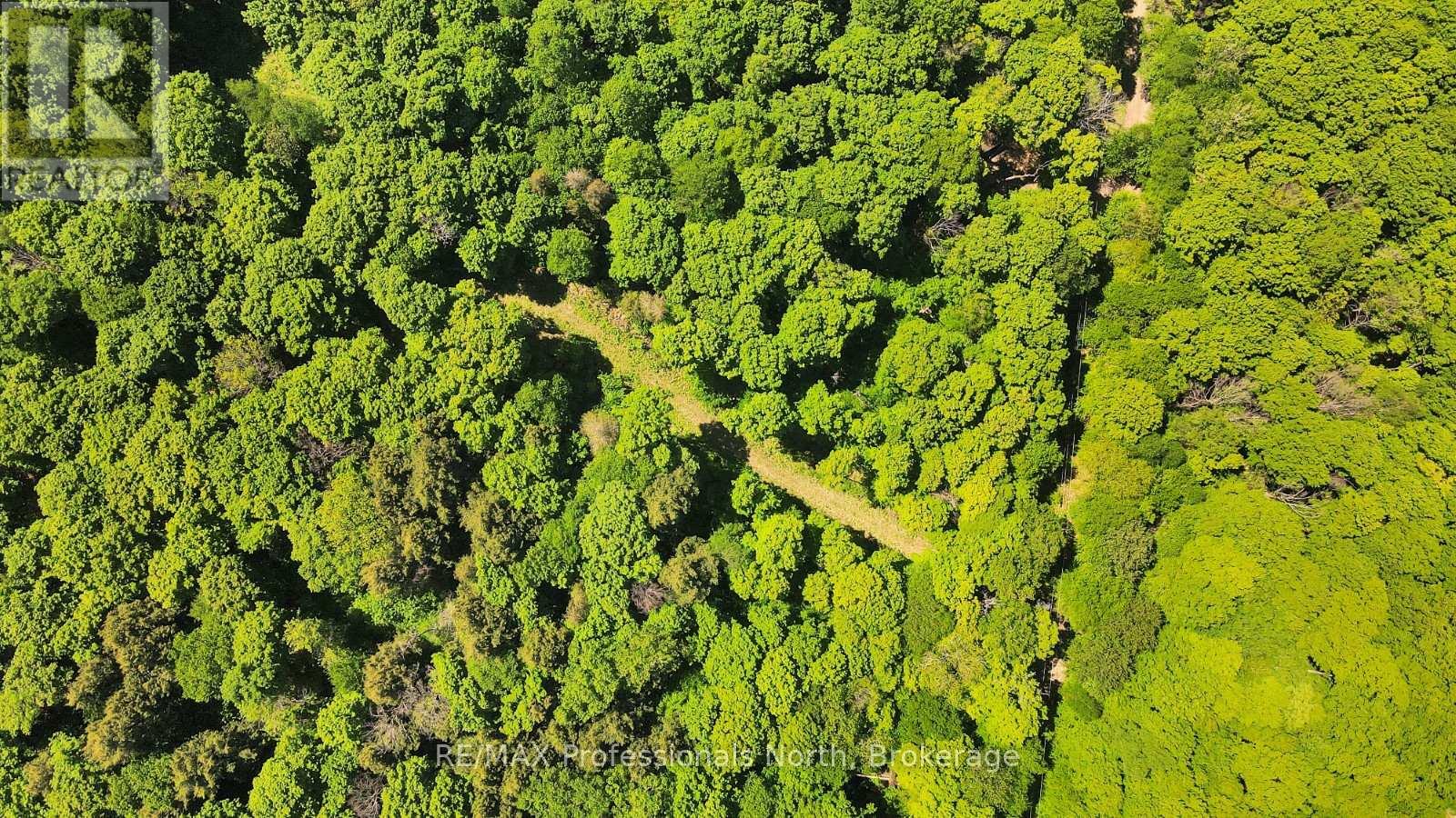 Lot 165 Glen Lake Court Property Photo 2