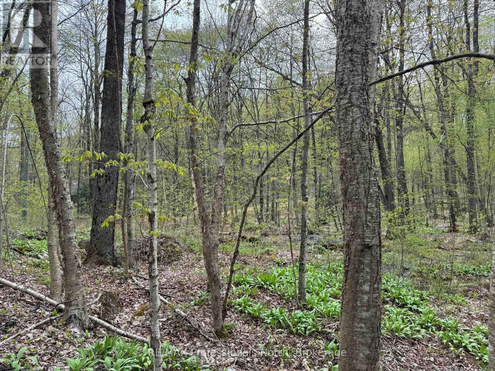 Lot 165 Glen Lake Court Property Photo 5