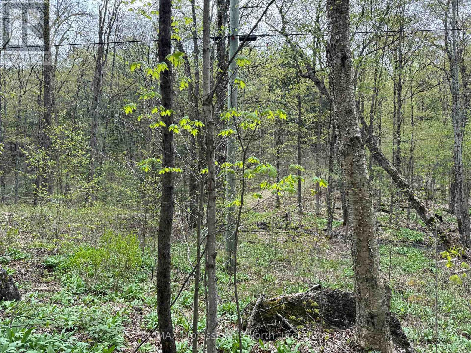 Lot 165 Glen Lake Court Property Photo 6