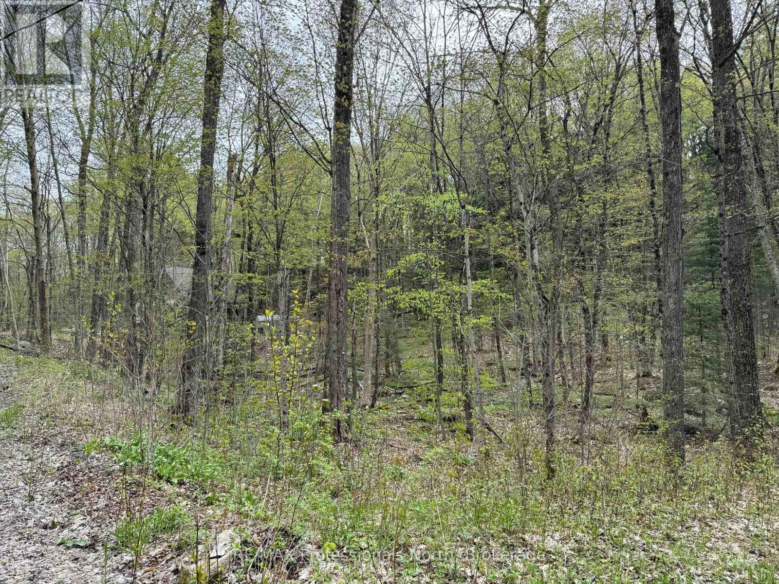 Lot 165 Glen Lake Court Property Photo 7