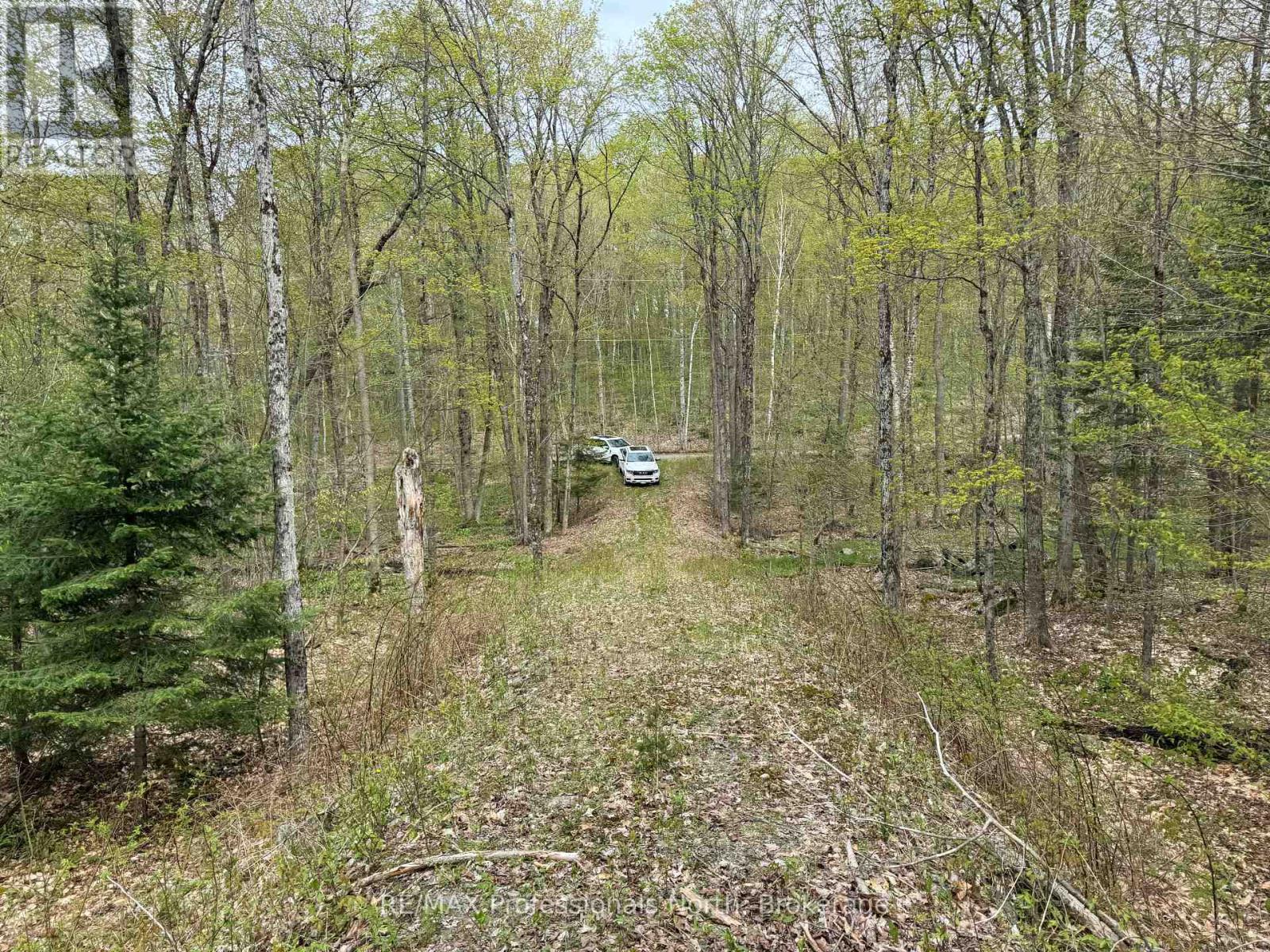 Lot 165 Glen Lake Court Property Photo 8