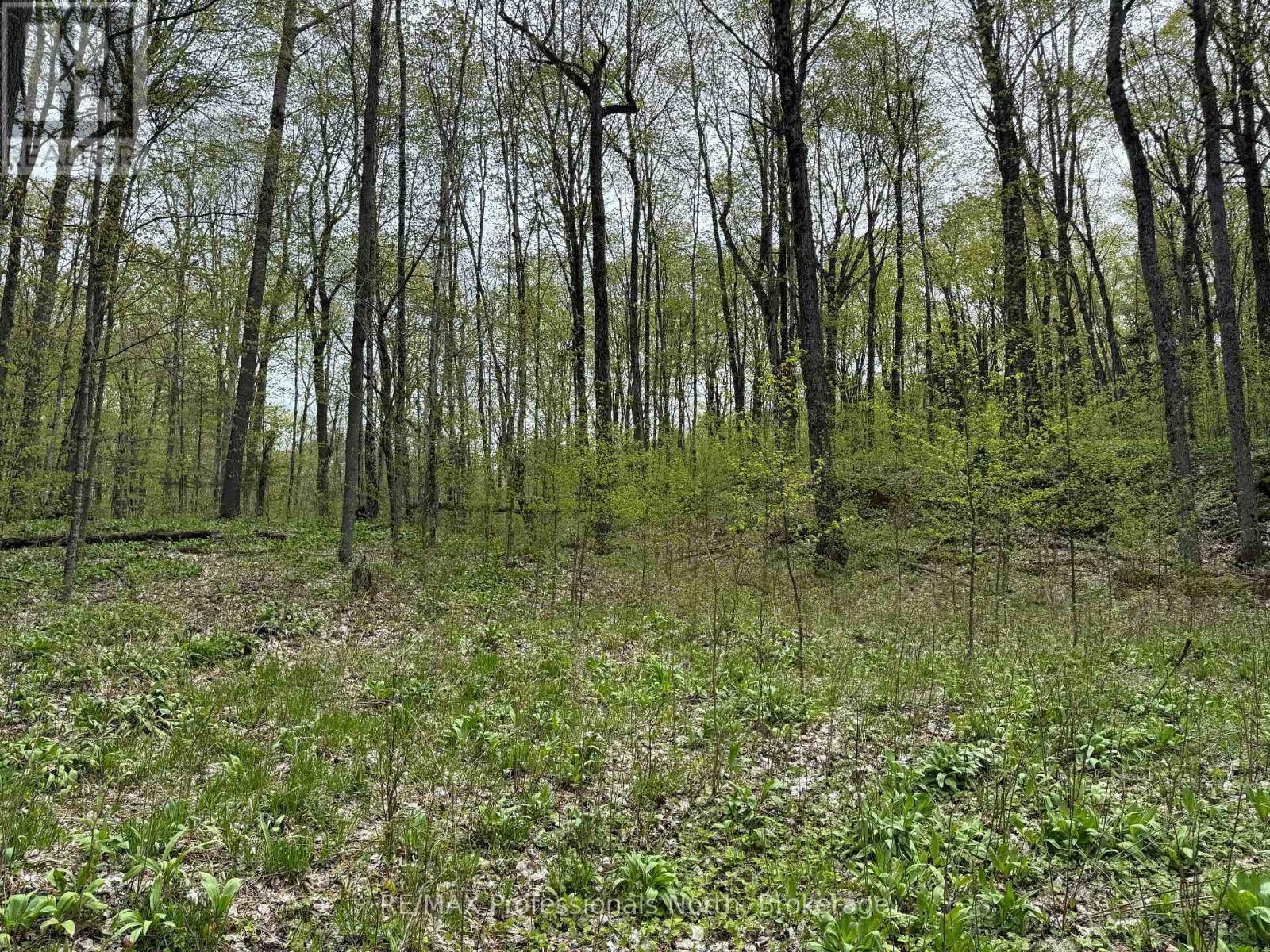 Lot 165 Glen Lake Court Property Photo 9