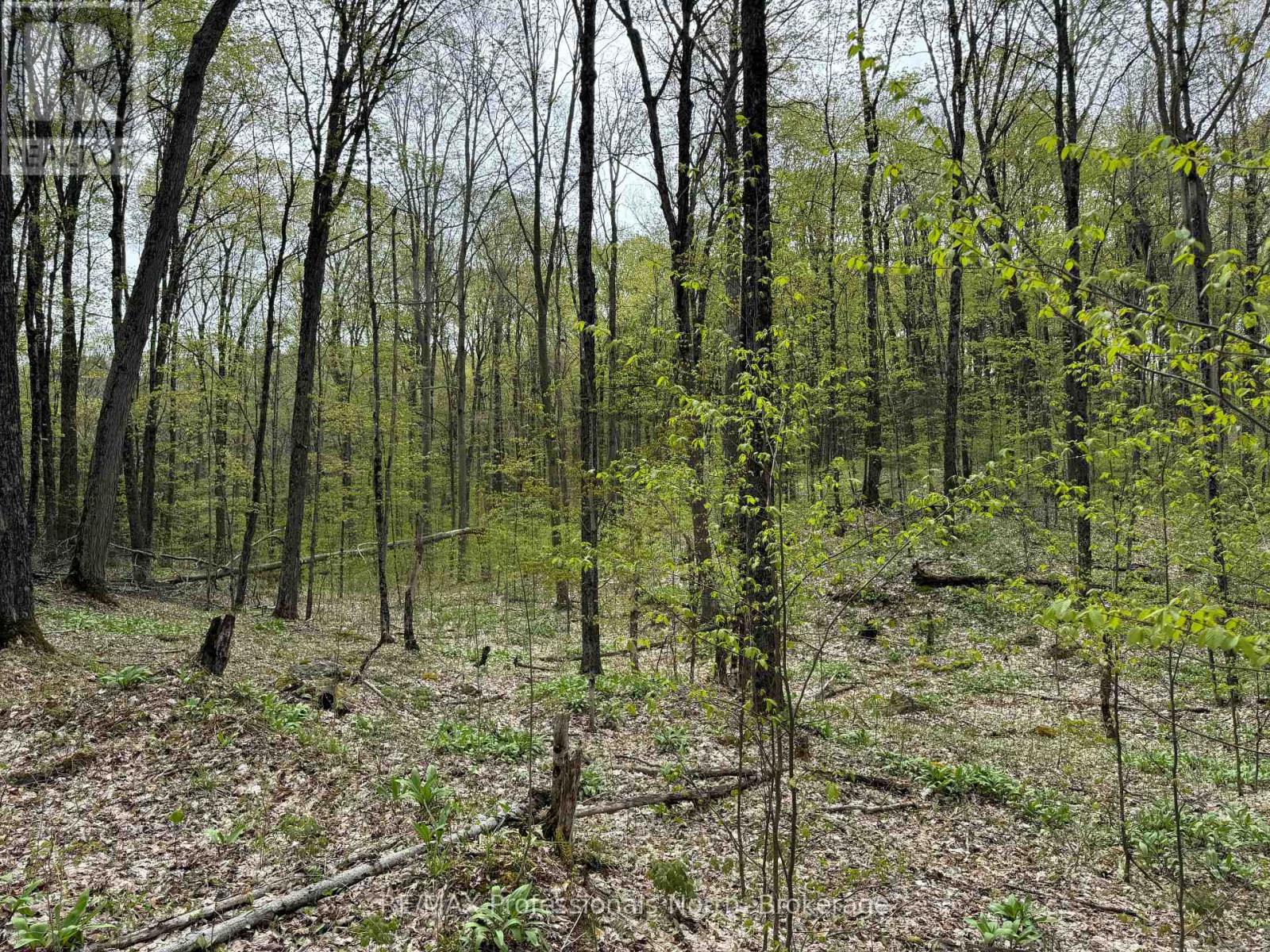 Lot 165 Glen Lake Court Property Photo 10