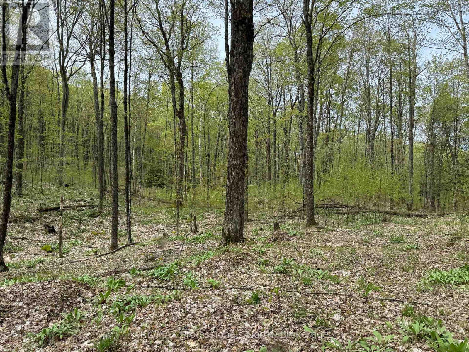 Lot 165 Glen Lake Court Property Photo 12