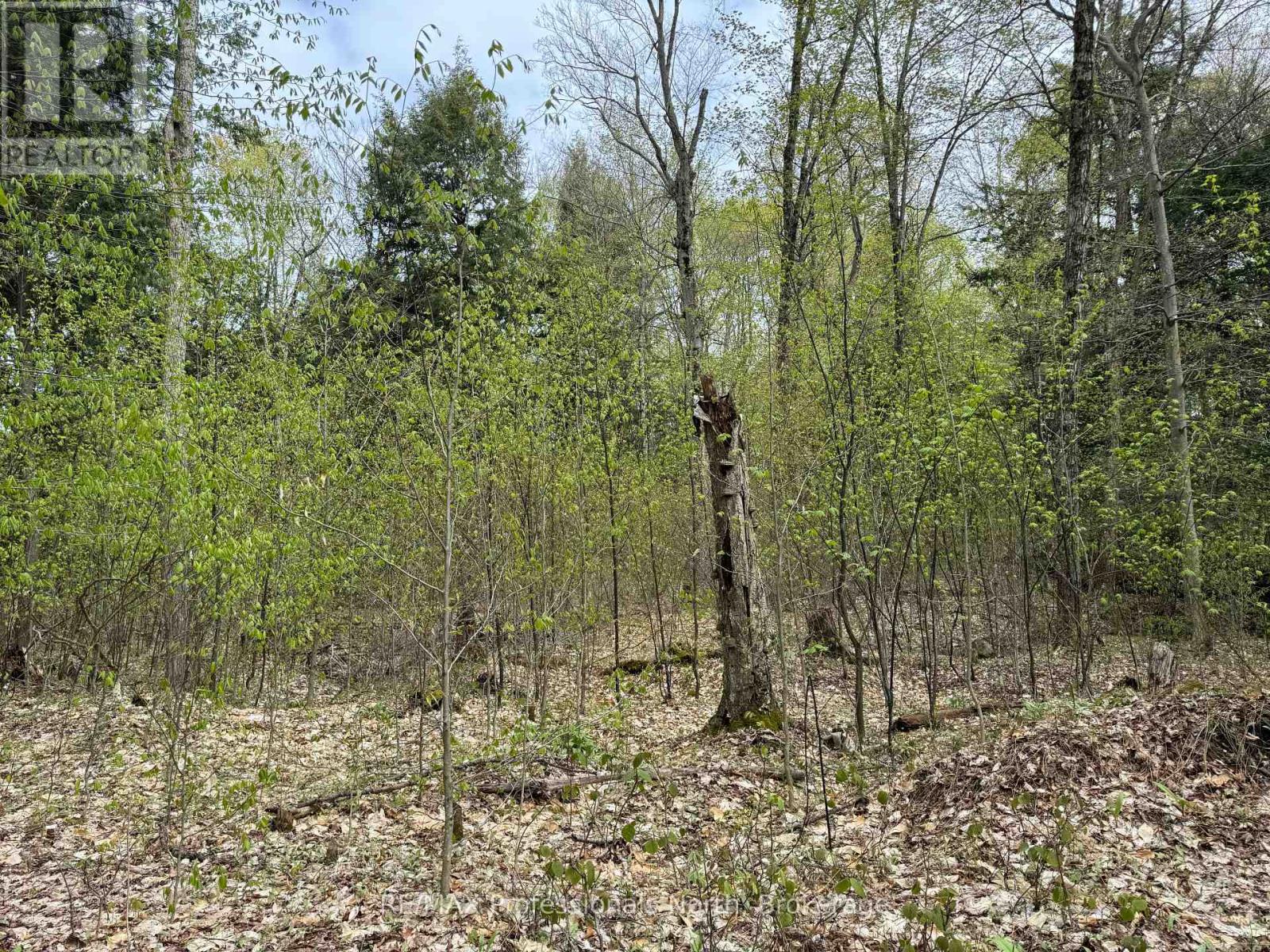 Lot 165 Glen Lake Court Property Photo 13