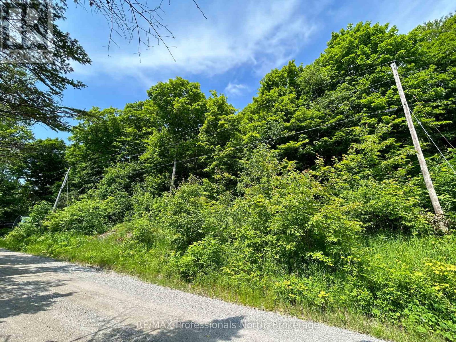 0 Brady Lake Road Property Photo 3