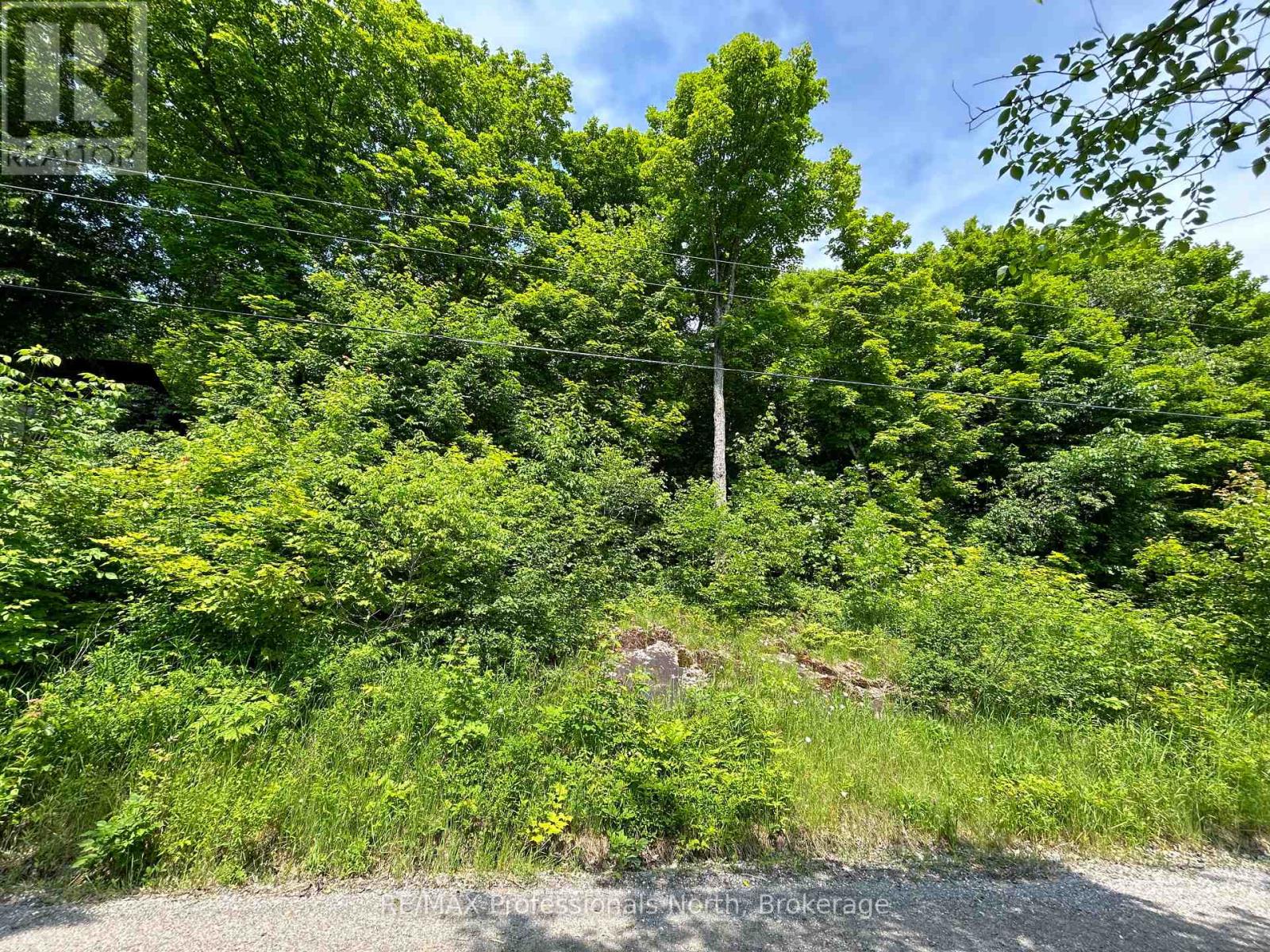 0 Brady Lake Road Property Photo 4