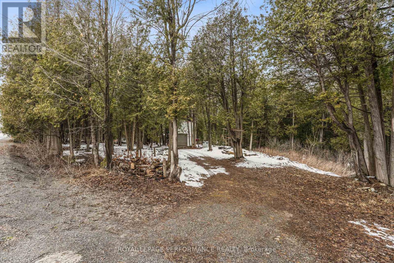 8441 Cooper Hill Road Property Photo 5