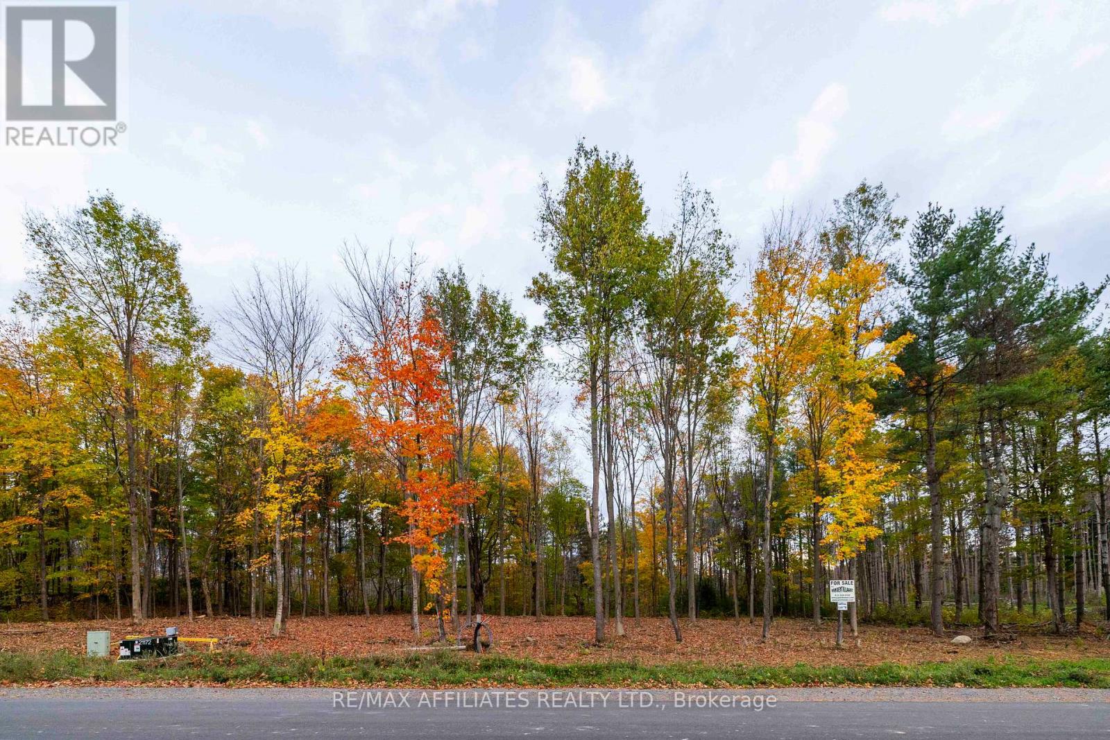 420 Butler Farm Road Property Photo 5
