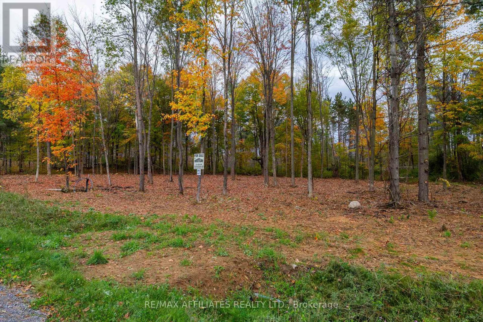 420 Butler Farm Road Property Photo 7
