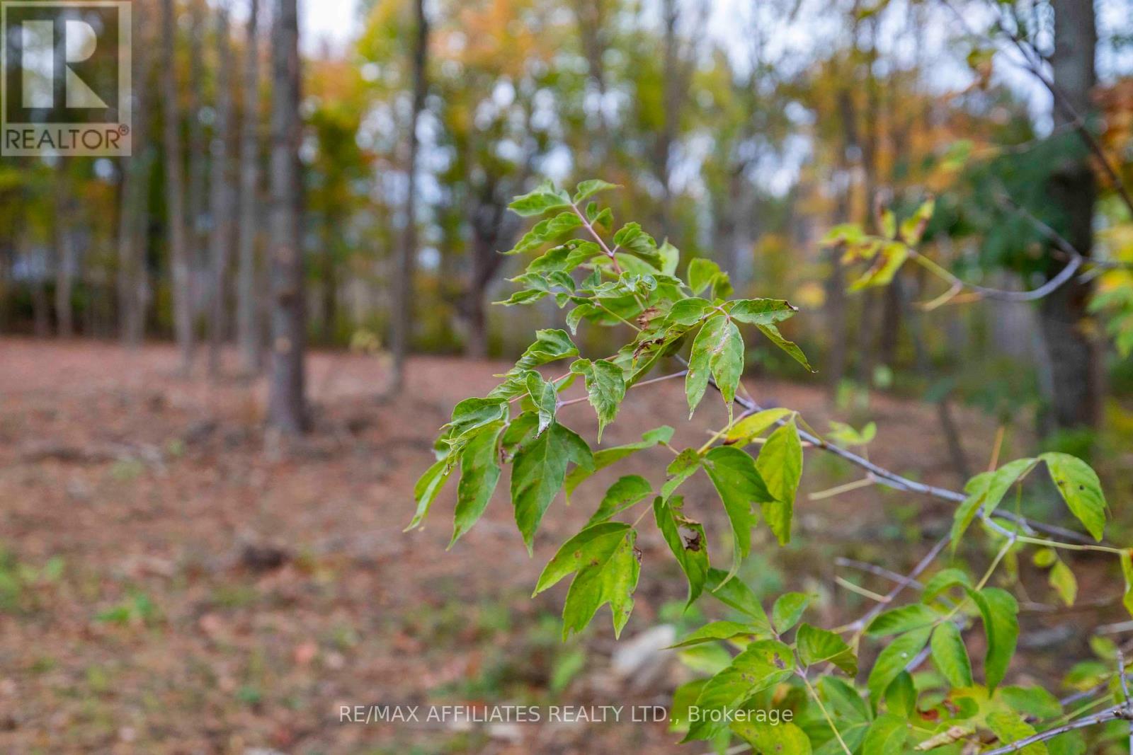 420 Butler Farm Road Property Photo 13