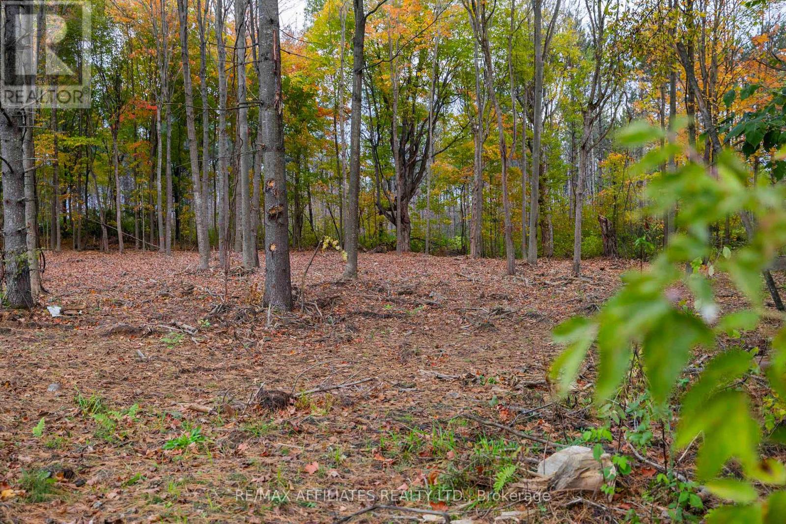 420 Butler Farm Road Property Photo 14