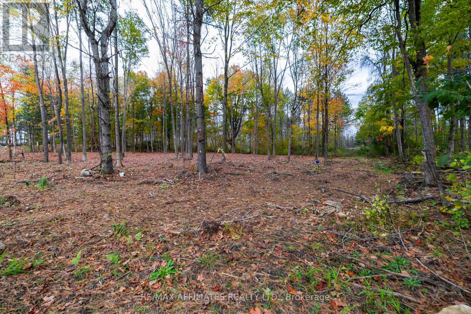 420 Butler Farm Road Property Photo 15