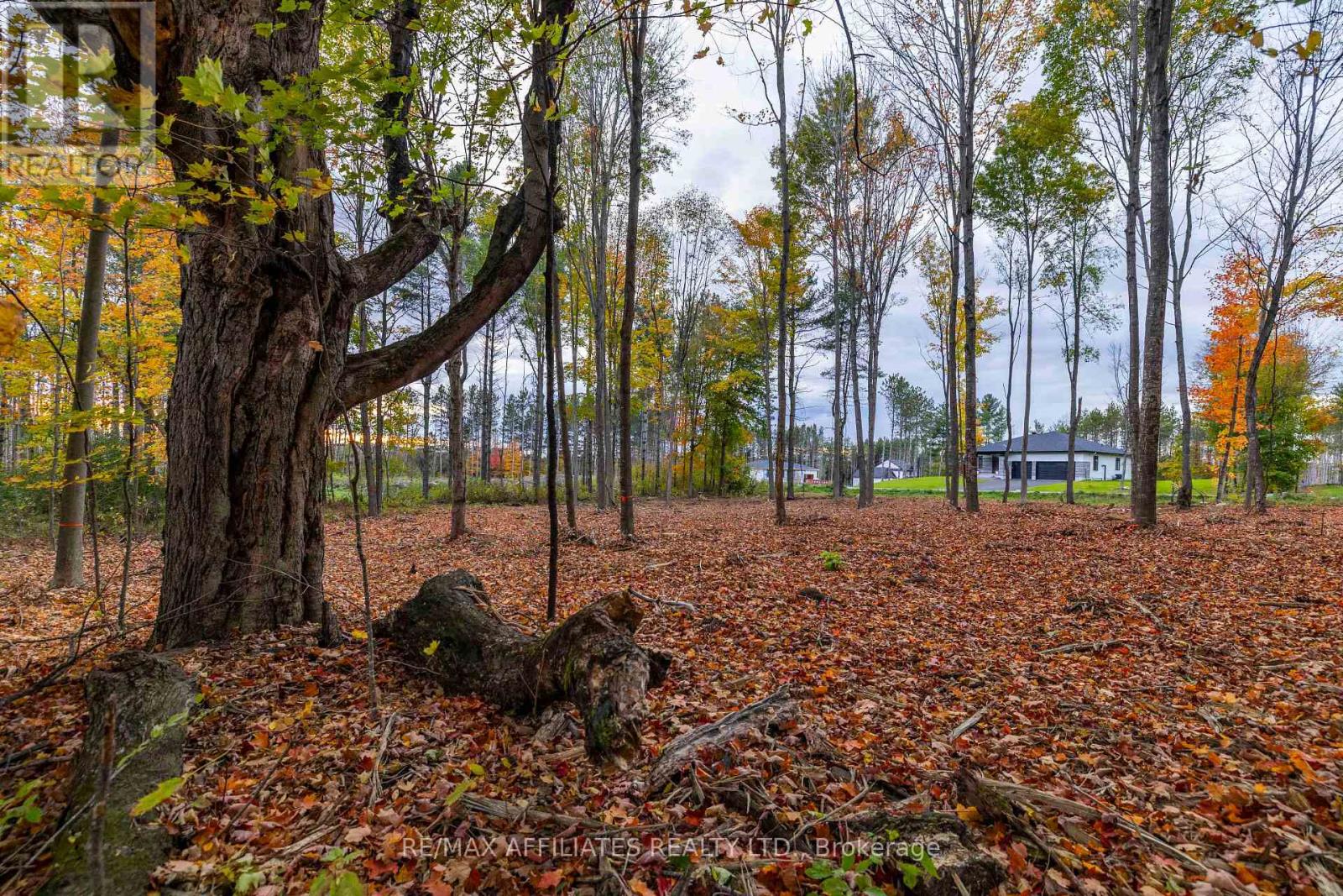 420 Butler Farm Road Property Photo 21
