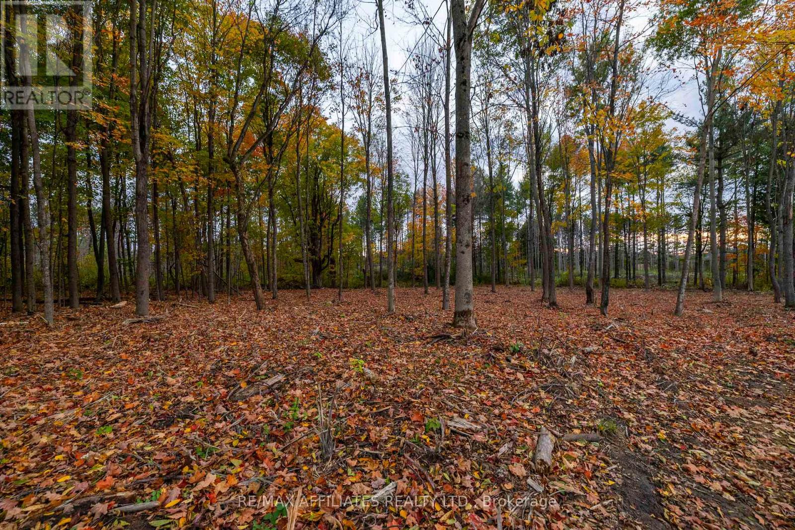 420 Butler Farm Road Property Photo 25