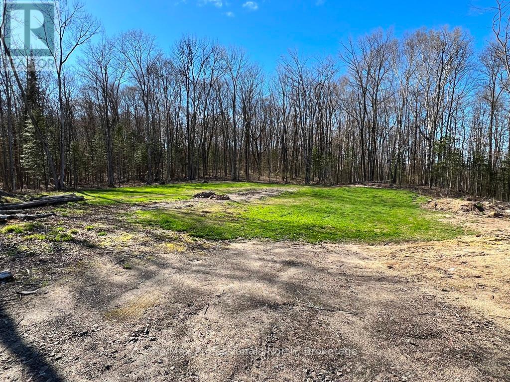 1199 Cedar Lake Road Property Photo 3