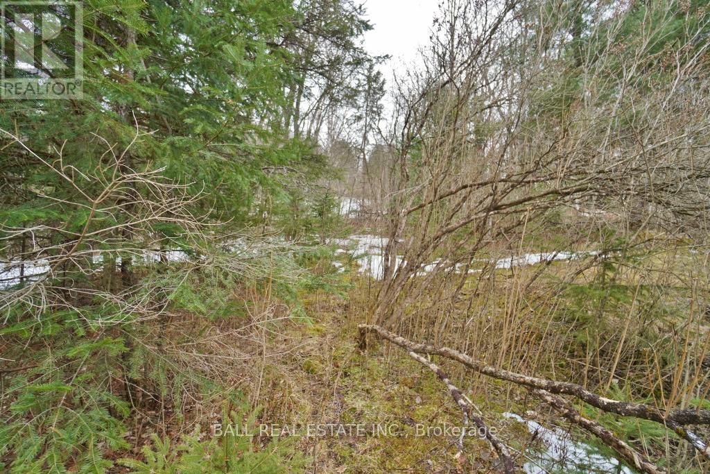 0 Unopened Road Allowance Property Photo 3