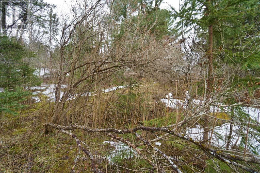 0 Unopened Road Allowance Property Photo 4