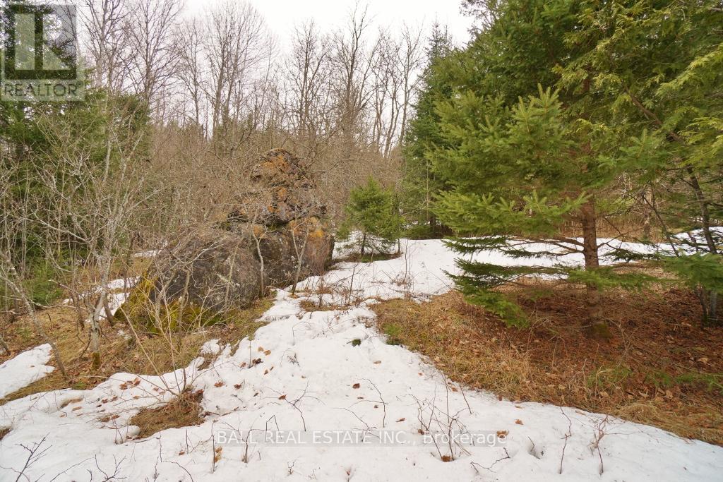 0 Unopened Road Allowance Property Photo 6