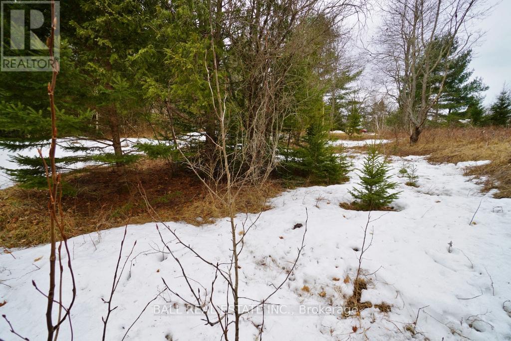 0 Unopened Road Allowance Property Photo 7