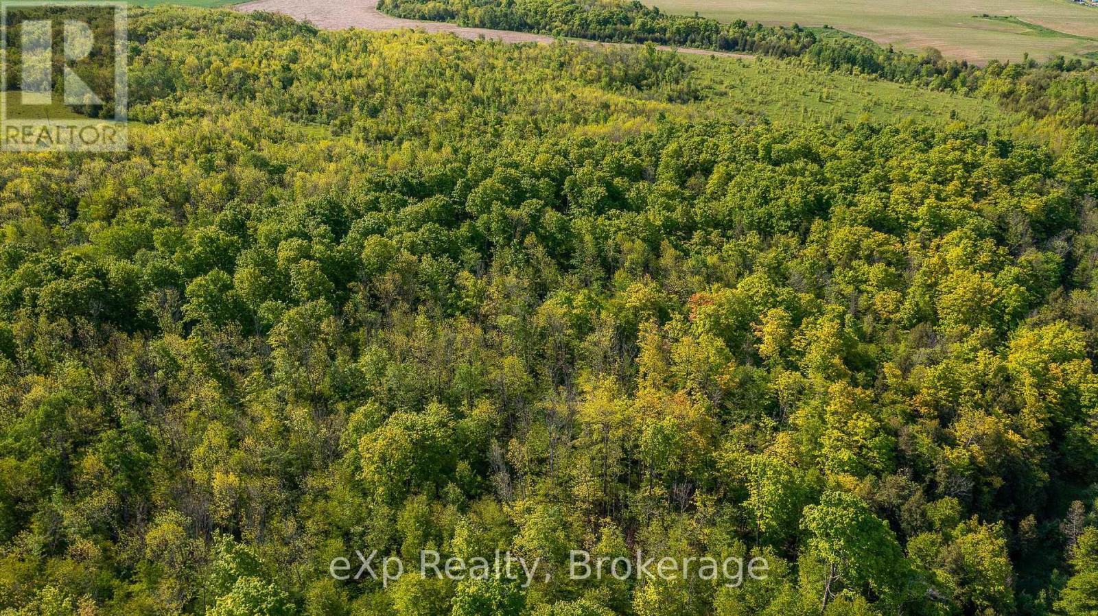 E 1/2 Lt 29-30 Con 4; Sideroad 30 Property Photo 16